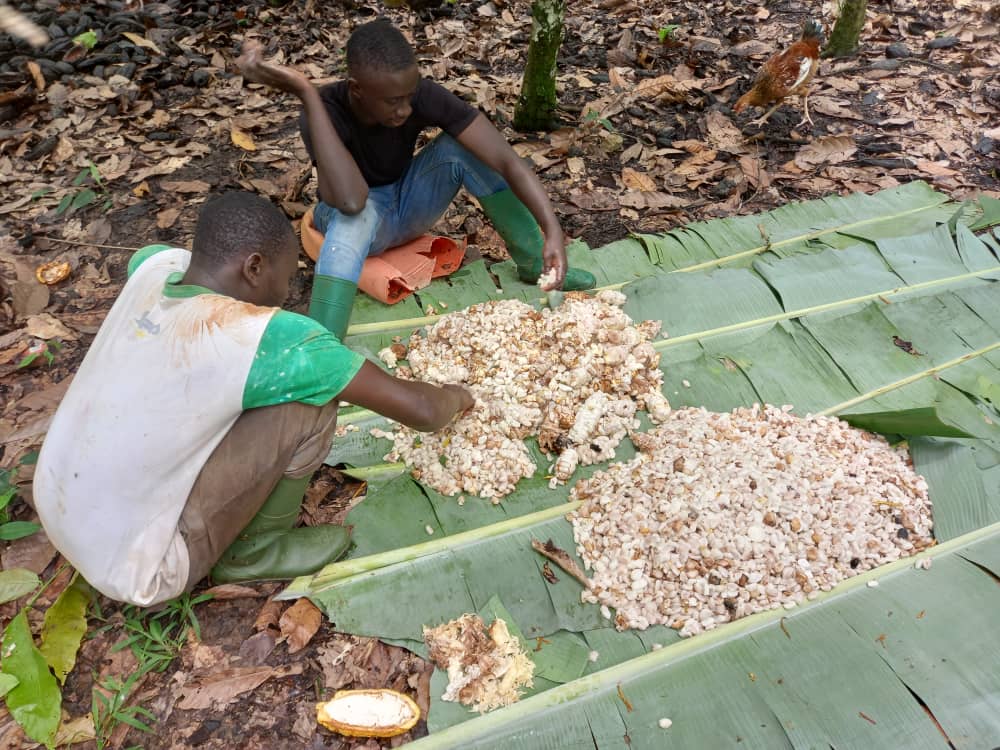 Valorizzare la materia prima locale