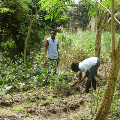 Il grido della Terra e dei poveri