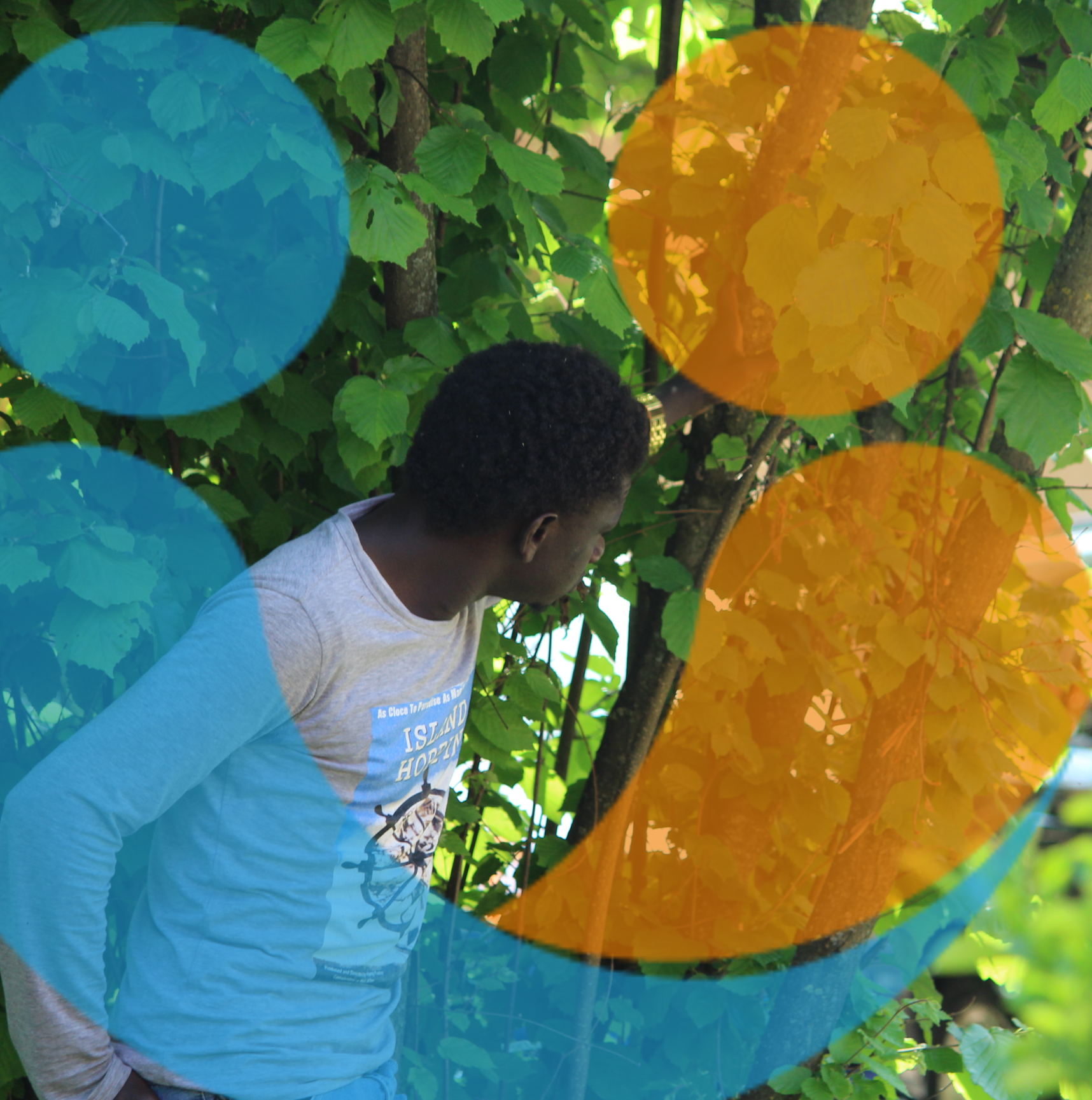 Geografie in integrazione