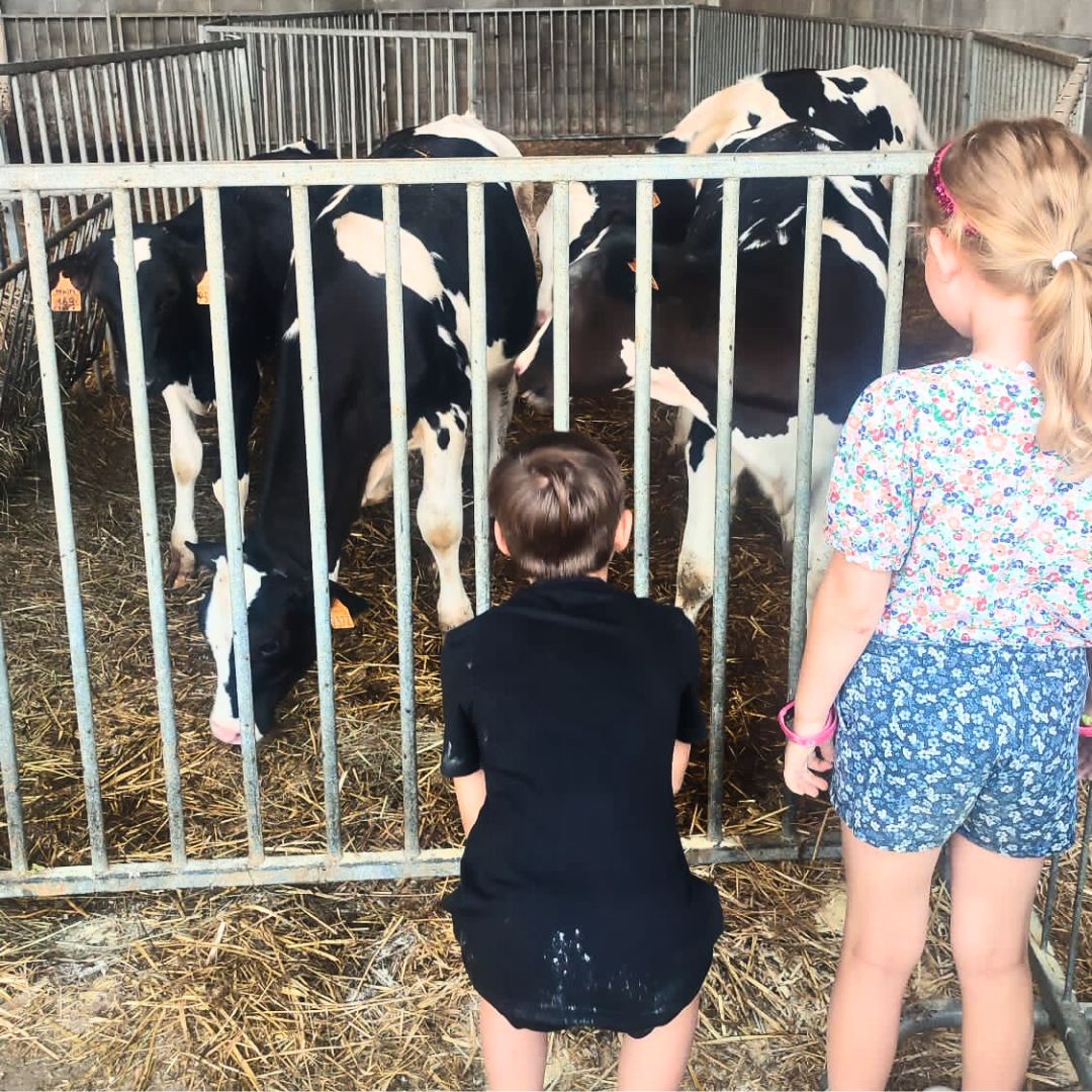 Cinque anni in fattoria...