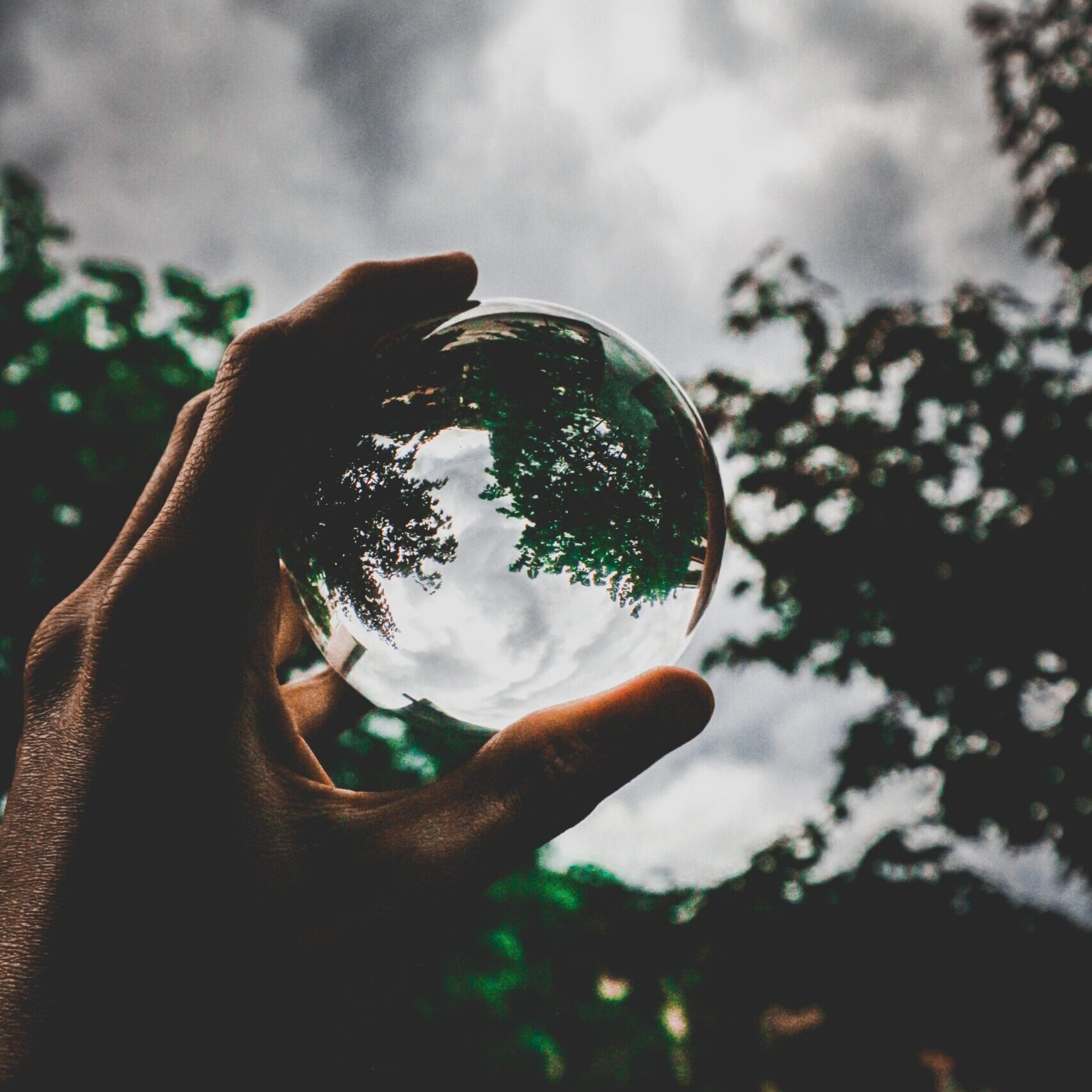 Il mondo è tutto attaccato