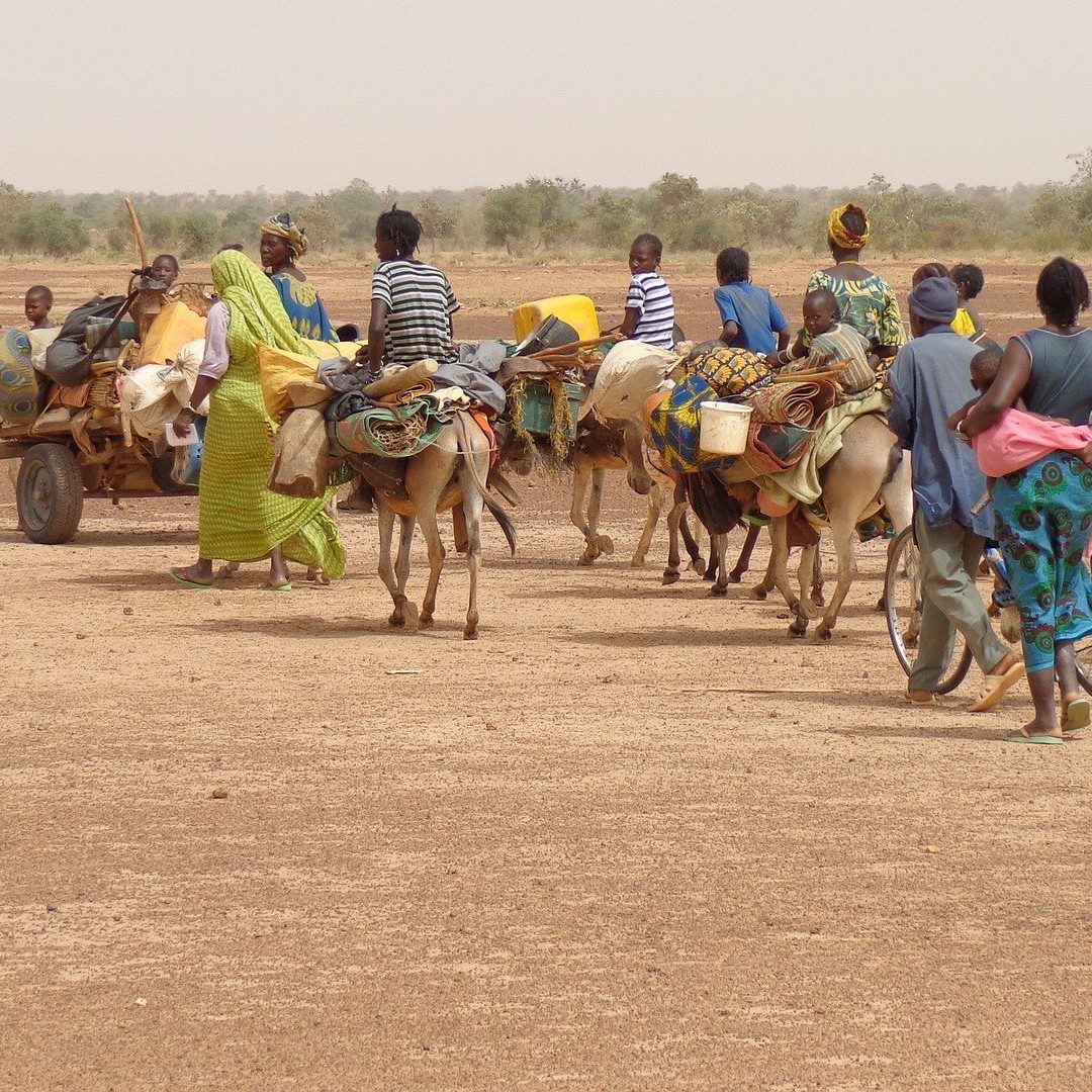  migration-2698946_1920-1080x1080 