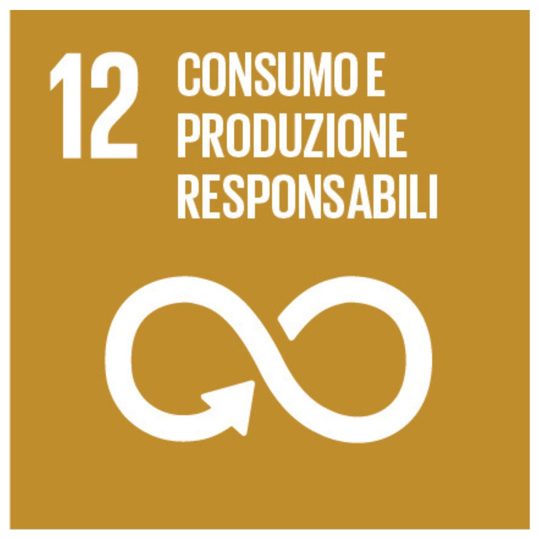 Obiettivo 12. Consumo e produzione responsabili