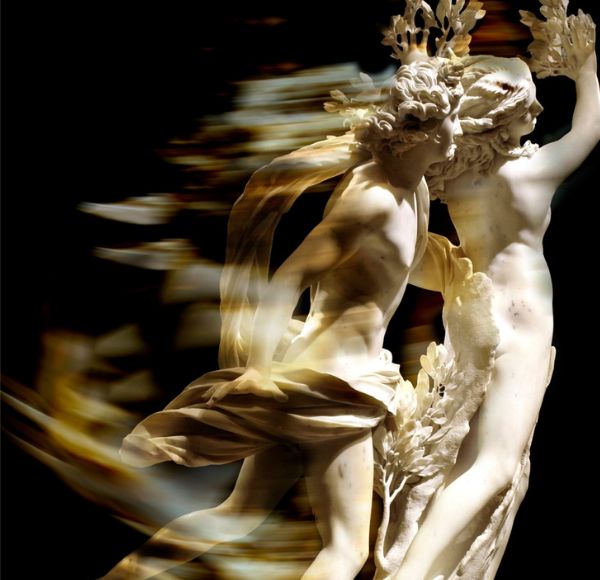 Quindici anni di Rete Dafne